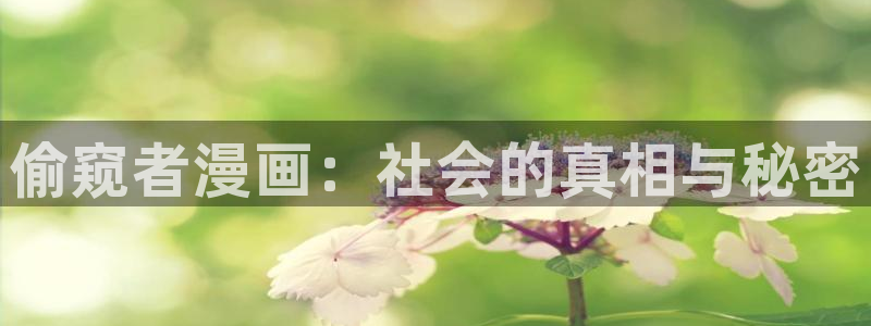 歪歪漫画首页的：偷窥者漫画：社会的真相与秘密